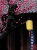 红梅花开 | 古风韵味！当陆游笔下的梅花盛开在陆游祠