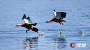 NEWS_33CC1E8337B4B8417CC5A7A89D694FE0.JPG