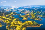 203540455378