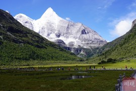 初秋稻城亚丁：雪山映碧空 美景迎客来